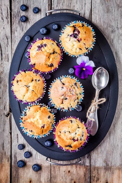 Muffins de mirtilo caseiros em uma bandeja vista superior — Fotografia de Stock