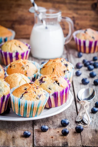 Muffins de mirtilo caseiros com leite — Fotografia de Stock
