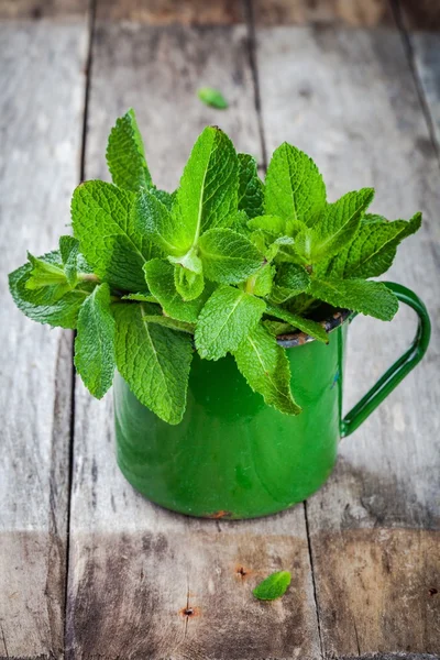 organic fresh bunch of mint in the mug