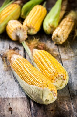 sepet içinde organik tatlı mısır