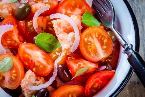 Panzanella: włoska sałatka z pomidorów, ciabatta, oliwek, czerwonej cebuli i bazylii zbliżenie — Zdjęcie stockowe