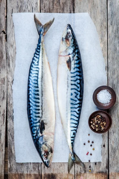 Zwei rohe frische Makrelenfische auf einem Papier mit Salz und Pfeffer — Stockfoto
