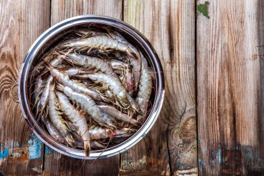 Bütün taze çiğ karides deniz ürünleri