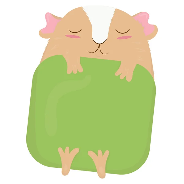 可爱的米黄色豚鼠 脸上有白色的毛 粉红的耳朵和脸颊 躺在绿色的毛毯下睡觉 可爱的家鼠 以扁平的风格描绘病媒 — 图库矢量图片