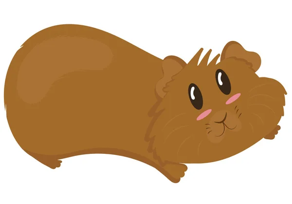 Cute Plump Brown Guinea Pig Lies Outstretched Paws Cute Domestic — Stock Vector