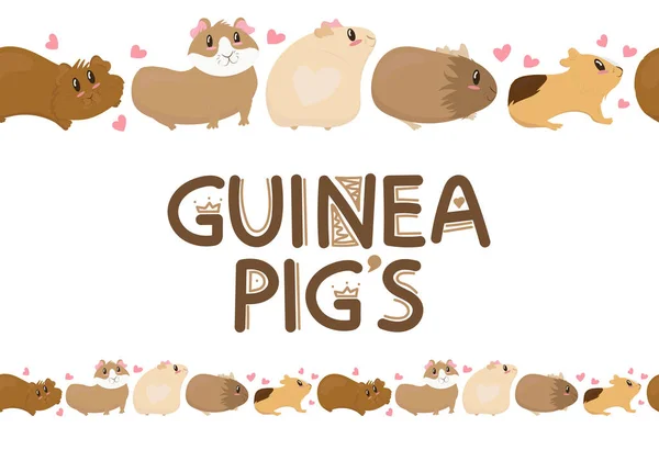 Cute Funny Guinea Pigs Different Colors Stand Cute Home Rodent — Stock Vector