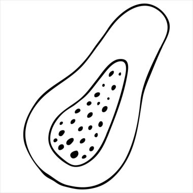 Tropikal egzotik meyve papaya kesme, vektör karalama ögesi, boyama kitabı, siyah ve beyaz