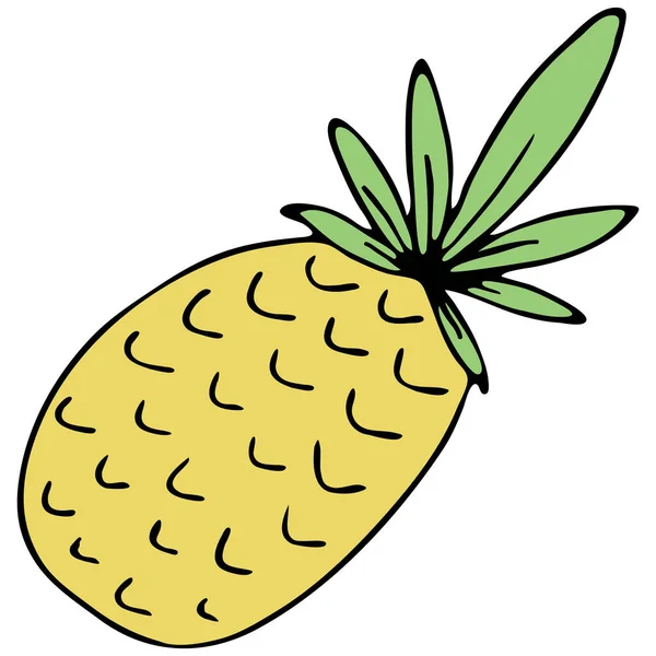 Amarillo Tropical Exótico Fruta Piña Vector Color Doodle Elemento Con — Vector de stock