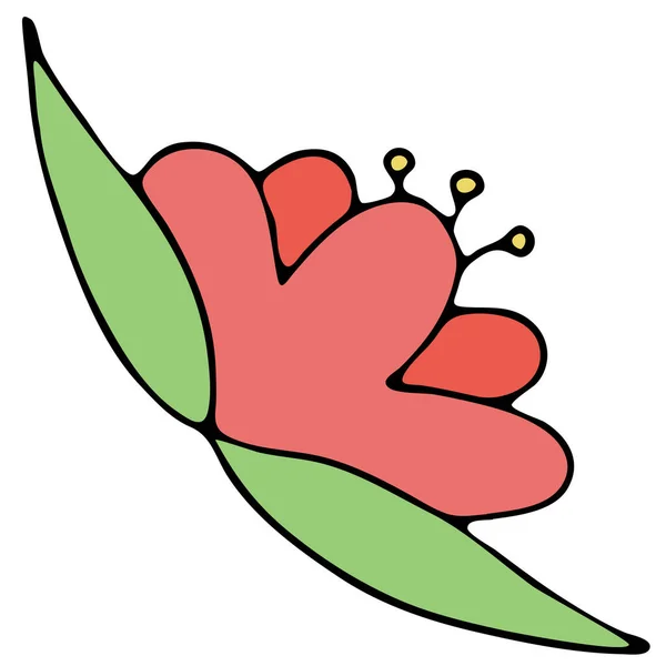 Rose Belle Fleur Hibiscus Élément Vectoriel Doodle Couleur Avec Contour — Image vectorielle