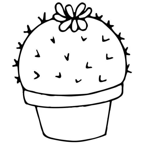 Cactus Redondo Una Olla Con Una Flor Agujas Ilustración Vectorial — Vector de stock