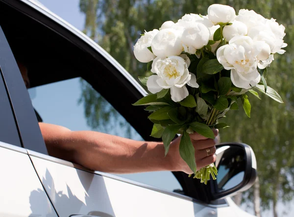 Homme avec belle pivoine blanche dans la voiture . Photos De Stock Libres De Droits