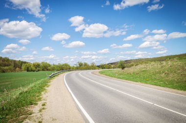 Ormanın yakınındaki asfalt yolda. Güneşli bir yaz günü. Doğal arkaplan.