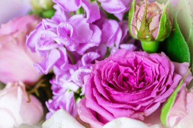 Çok güzel farklı renkte bir buket yakın çekim. Çok romantik..