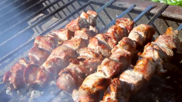 Kebabs de porco em espetos em uma grade de close-up. — Vídeo de Stock