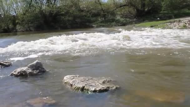 Corrente de rio forte, corredeiras e grandes pedras — Vídeo de Stock