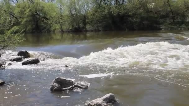 Corrente de rio forte, corredeiras e grandes pedras — Vídeo de Stock