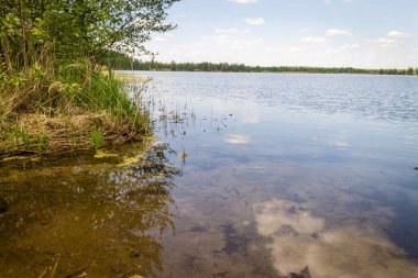 Mavi göl gökyüzünü ve bulutları yansıtır. Güneşli bir yaz günü. Ormanda..