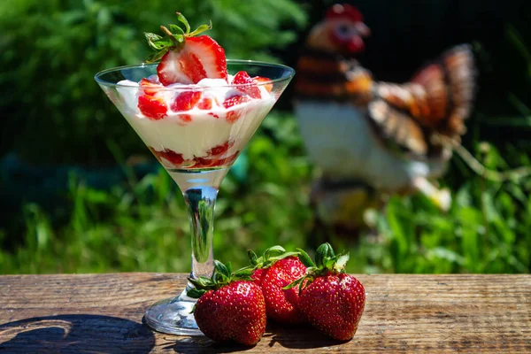 Delicioso Desayuno Saludable Yogur Con Fresas Vaso Cerca Alimentación Saludable —  Fotos de Stock