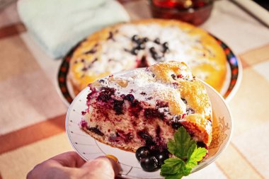 Pie with black currant berries sprinkled with powdered sugar close-up. Delicious pastries.