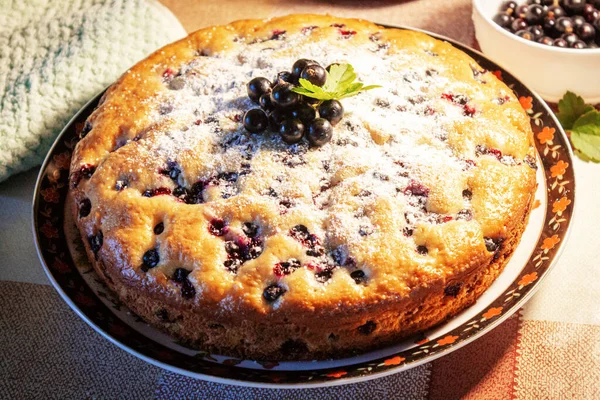 Pie with black currant berries sprinkled with powdered sugar close-up. Delicious pastries.