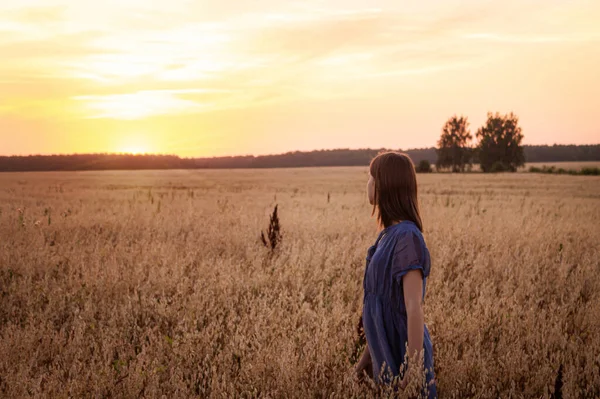 Ragazza Sta Sul Campo Ammirando Bellissimo Tramonto Riposo Estivo — Foto Stock