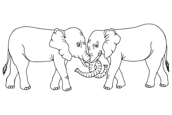 Design Modelo Elefantes Elegantes Com Texto Ilustração Vetorial —  Vetores de Stock