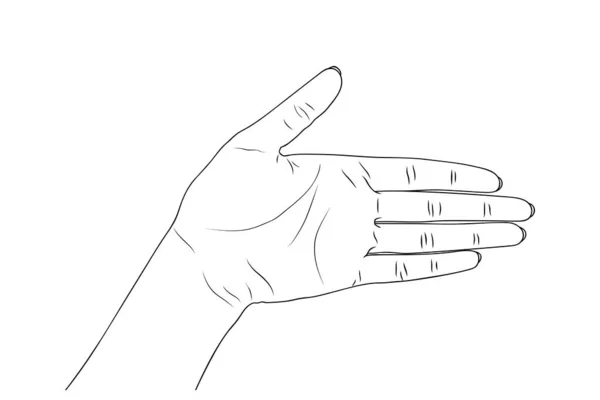 Desenhos Animados Mãos Isoladas Sobre Fundo Branco Vetor Ilustração — Vetor de Stock