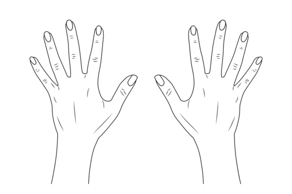 çizgi film elleri beyaz arkaplan, vektör, illüstrasyon üzerinde izole 