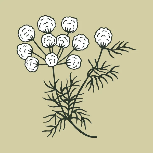 花のシームレスなパターン ベクターストックイラストEps10 — ストックベクタ
