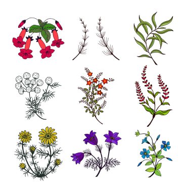 Çiçekler pürüzsüz desen. Vektör hisse senedi illüstrasyonu E10. 