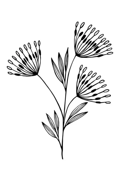 Illustration Vectorielle Une Fleur Style Croquis — Image vectorielle