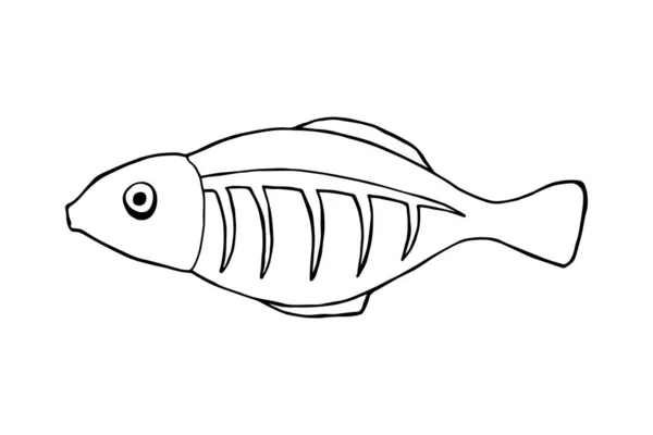 Pesce Con Icona Cresta Illustrazione Vettoriale Stile Schizzo — Vettoriale Stock