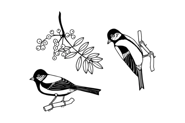 Две Сиськи Веточки Рябины Векторная Иллюстрация Дизайнерских Обоев Фона Птиц — стоковый вектор