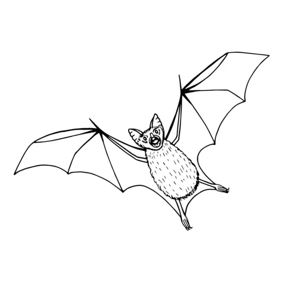 Ilustração Vetorial Morcego Isolado Sobre Fundo Branco —  Vetores de Stock