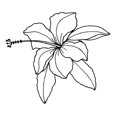 çiçek vektör resimleme grafiği