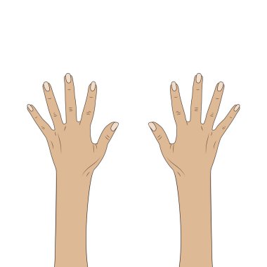 Kadın eli işte. Kadın eli. Beyaz arkaplanda izole et.