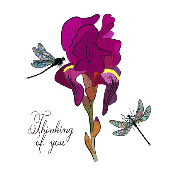 Iris Blüht Lila Vectaranas Stock Illustration Eps10 — Stockvektor