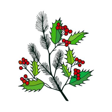 Kış bitkisi Yeni Yıl şubesi. Vektör hisse senedi çizimi E10. El çizimi.