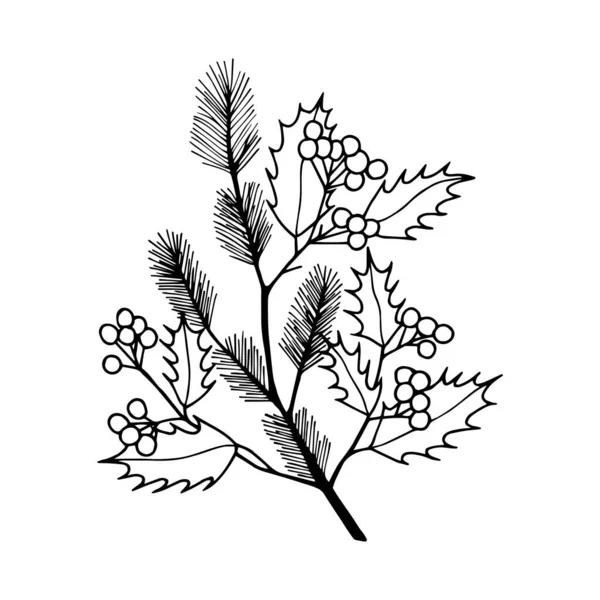 Winterpflanze Neujahrszweig Vektoraktienillustration Eps10 Handzeichnung — Stockvektor