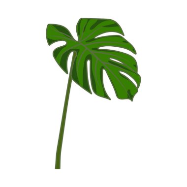 Tropikal yapraklı vektör illüstrasyon arka planı
