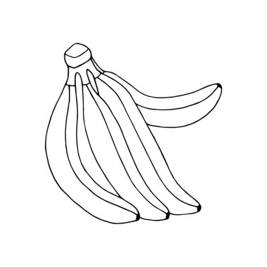 Muzun kusursuz vektör örnekleme deseni