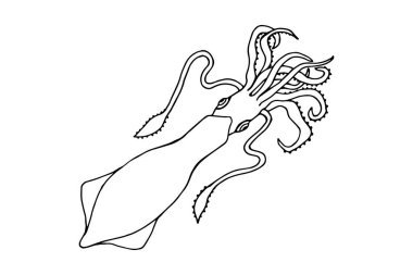 Deniz hayvanı mürekkepbalığı. Vektör hisse senedi çizimi E10. Beyaz arka planda izole et, özet geç. El çizimi.