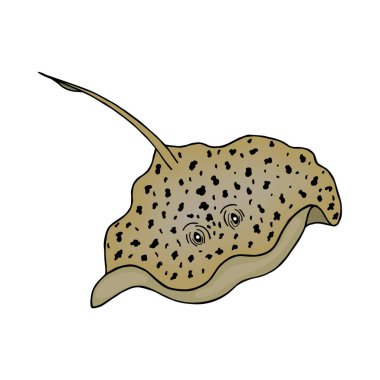 Electric Stingray bir deniz hayvanıdır. Vektör hisse senedi çizimi E10. Beyaz arkaplanda izole et