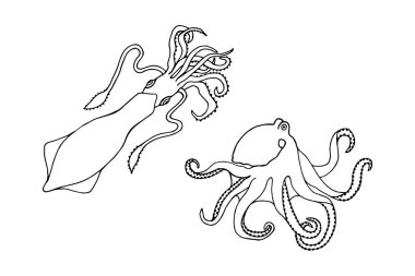 Deniz hayvanları kusursuz desen. Vektör stok illüstrasyonu 