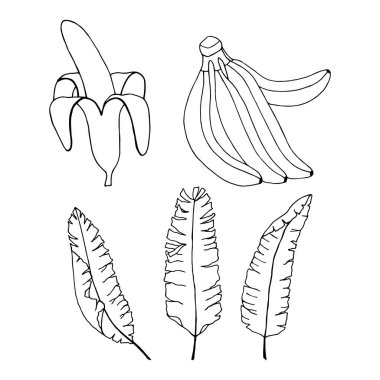 Muzlu kusursuz vektör çizimi