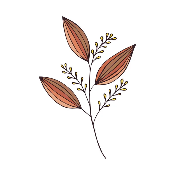 Plante Ornementale Contour Illustration Vectorielle Eps10 Dessin Manuel — Image vectorielle