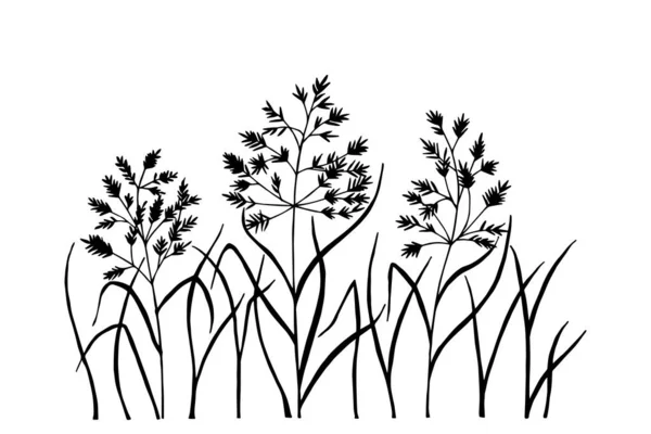 Bluegrass Wiese Pflanzen Vektoraktienabbildung Eps10 — Stockvektor