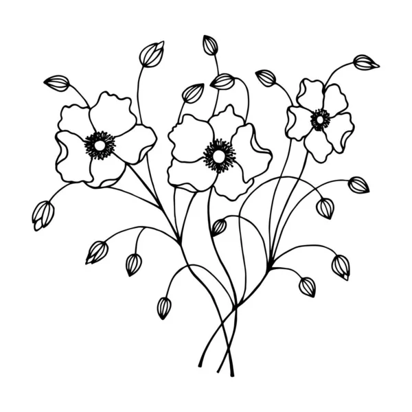 Flores Anêmona Estoque Vetorial Ilustração Eps10 —  Vetores de Stock