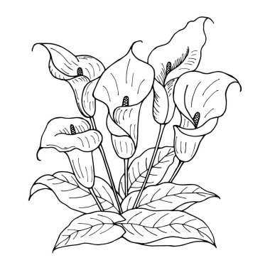 siyah ve beyaz çiçek vektör çizimi