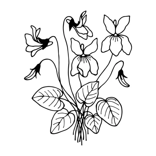 Illustration Vectorielle Fleurs Noires Blanches — Image vectorielle